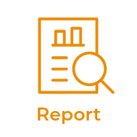 Report icon