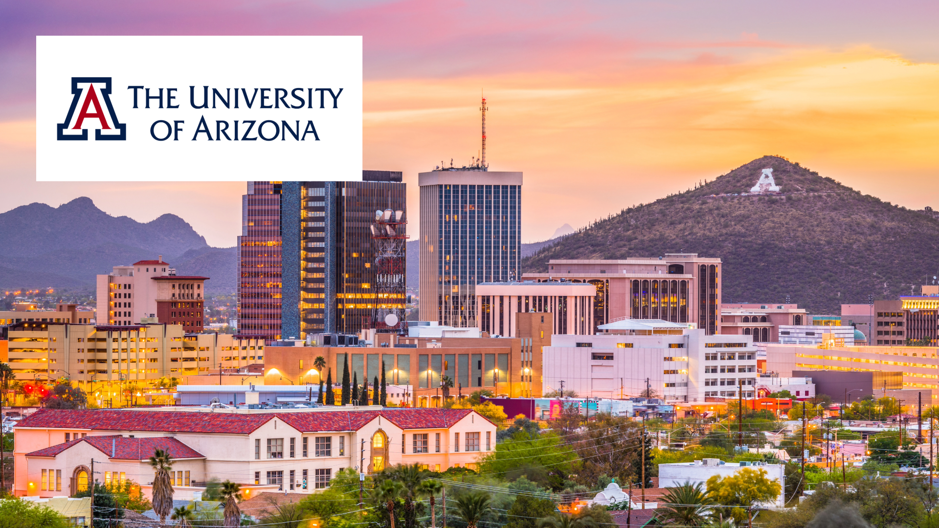 Website 1920 x 1080-5-U of Arizona 1920 x 1080