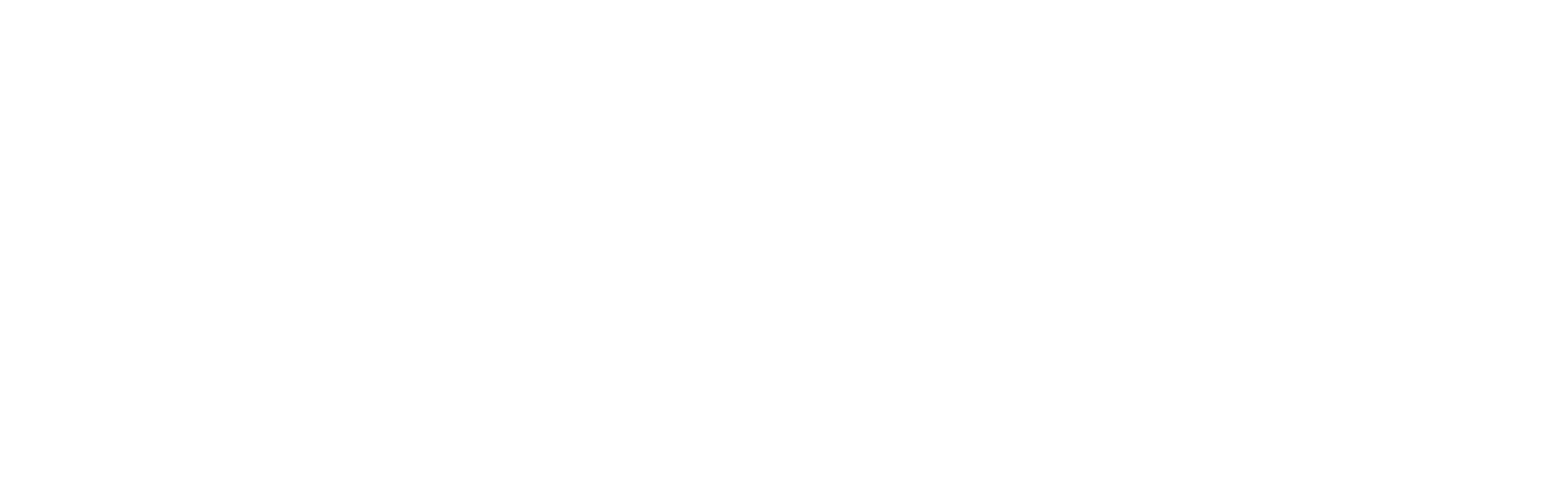 inforeadywhite_logo_transp